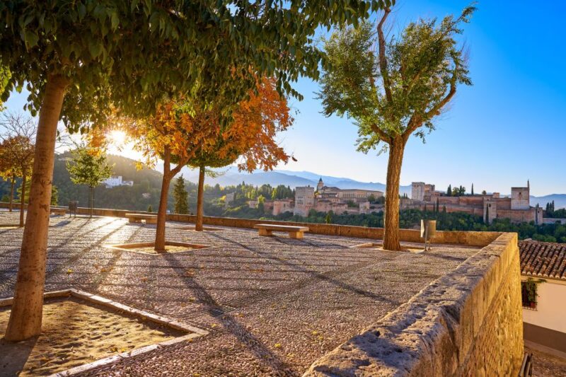 From Costa del Sol: Granada Day Trip Free Time 5h - Who Will Appreciate This Tour Most?