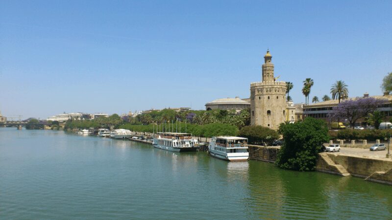 From Costa del Sol & Malaga: Seville Day Trip - The Seville Cathedral and Optional Access