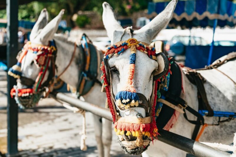 From Costa del Sol: Mijas, Marbella and Puerto Banús Tour - Practical Tips and Accessibility