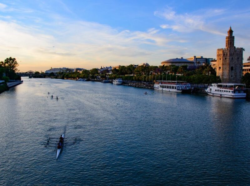 From Costa del Sol: Seville Day Trip - Visiting María Luisa Park and Plaza de España