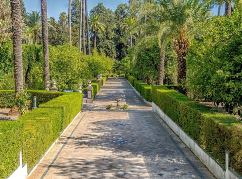 From Costa del Sol: Seville Day Trip - Free Time in Seville: Options for Lunch and Self-Guided Exploration