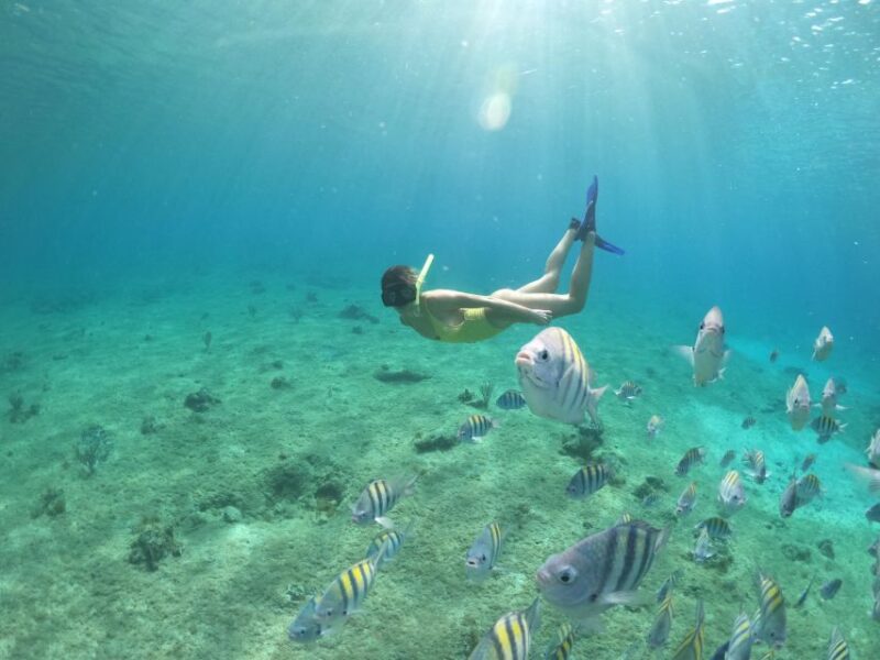 From Cozumel: 3 Reefs Boat Tour with Drinks and Snorkeling - The Unique Beauty of Columbia Reef