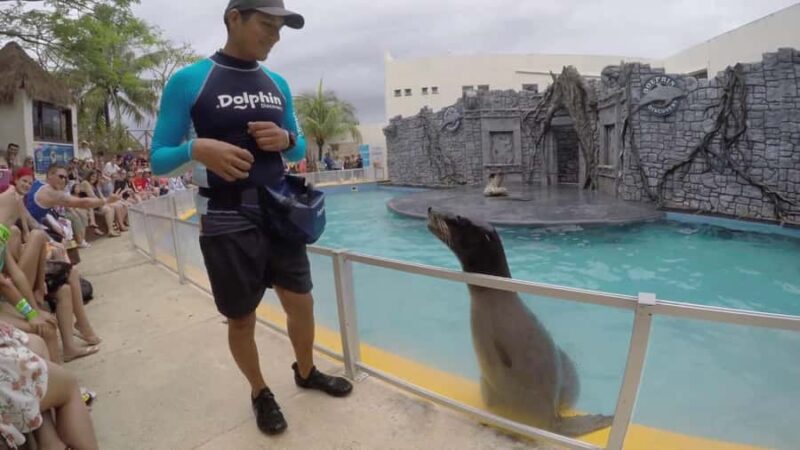 From Cozumel: Chankanaab Admision + Snorkel +Open Bar +Lunch - Snorkeling at the Second Largest Reef Barrier
