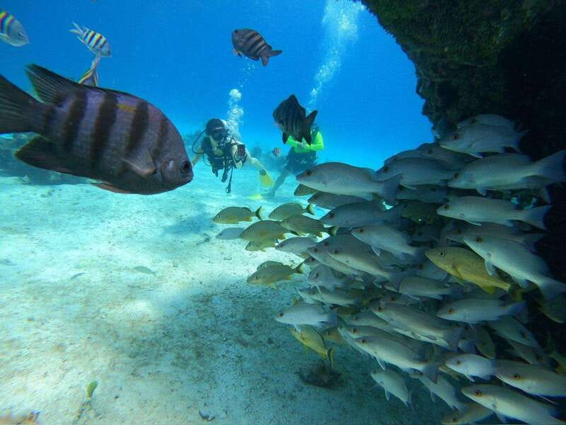 From Cozumel: Chankanaab Cozumel Scuba Diving - Exciting Cozumel Scuba Experience at Chankanaab Marine Park for $55