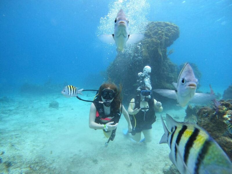 From Cozumel: Chankanaab Cozumel Scuba Diving - The Expertise of the Guides and Staff