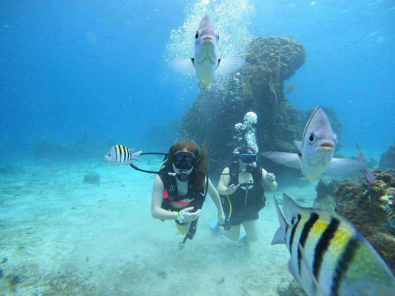 From Cozumel: Chankanaab Cozumel Scuba Diving - How This Tour Compares to Other Cozumel Experiences