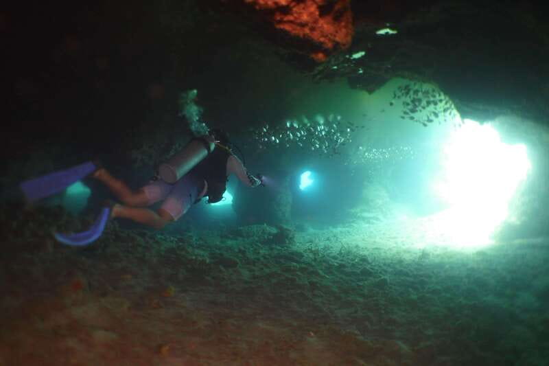 From Cozumel: Chankanaab Cozumel Scuba Diving - Accessibility and Physical Requirements