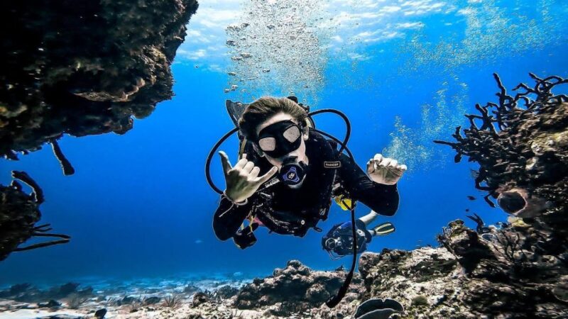 From Cozumel: Double Tank Scuba Diving for Certified Divers - Small Group, Personalized Diving with Experienced Guides