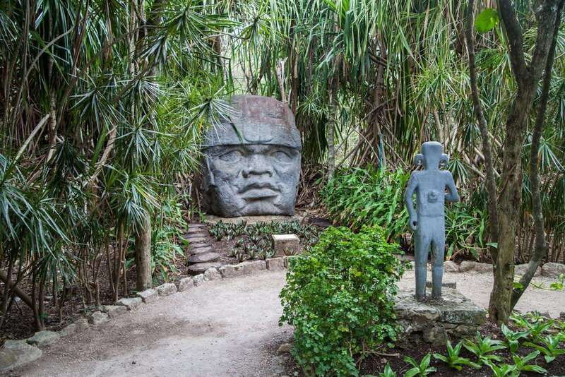 From Cozumel: Official Chankanaab Park Day Pass and Snorkel - Additional Fees and Considerations