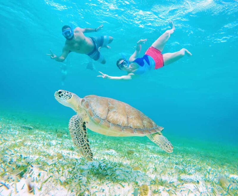 From Cozumel: Starfish, Stingrays & El Cielo Beach Snorkel - The Tours Pacing and Group Dynamics