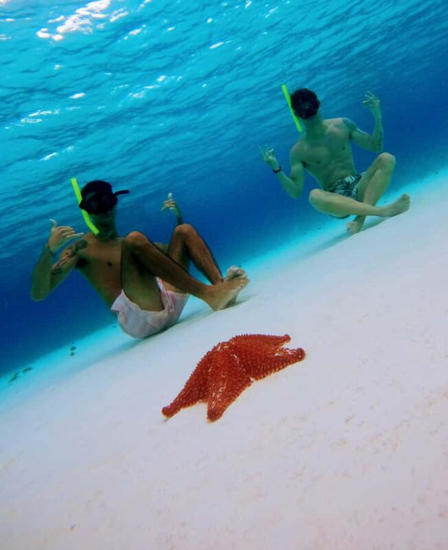 From Cozumel: Starfish, Stingrays & El Cielo Beach Snorkel - Practical Tips for the Snorkeling Day