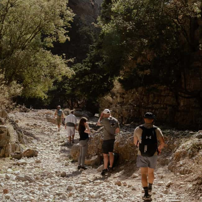 From Crete: Imbros Gorge Adventure Tour - Key Points