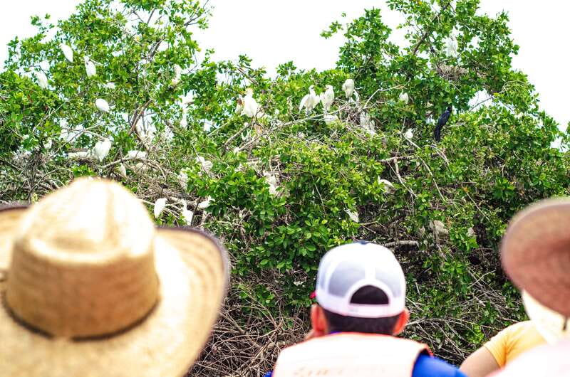 From Crucecita: Ventanilla, Zipolite, and Puerto Ángel Tour - Key Points