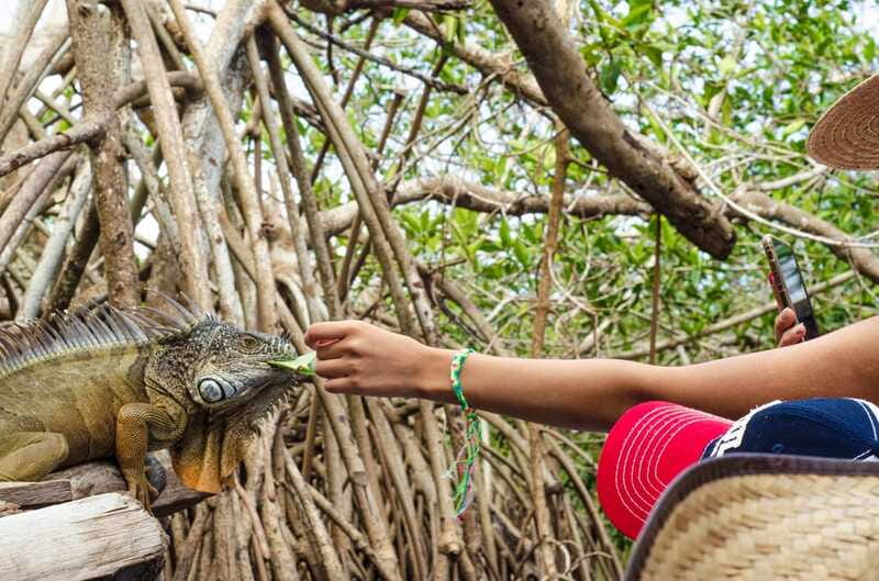 From Crucecita: Ventanilla, Zipolite, and Puerto Ángel Tour - Ideal For Who?