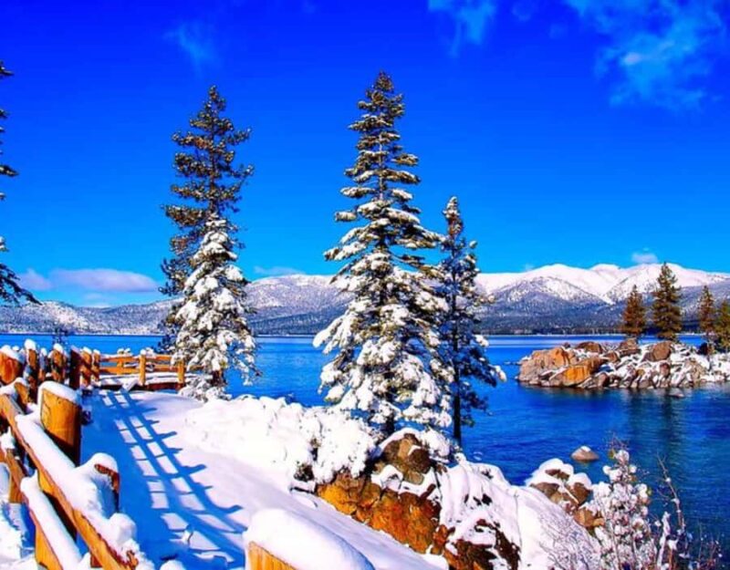 From Cupertino: Small Group Lake Tahoe Tour - Duration and Booking Flexibility