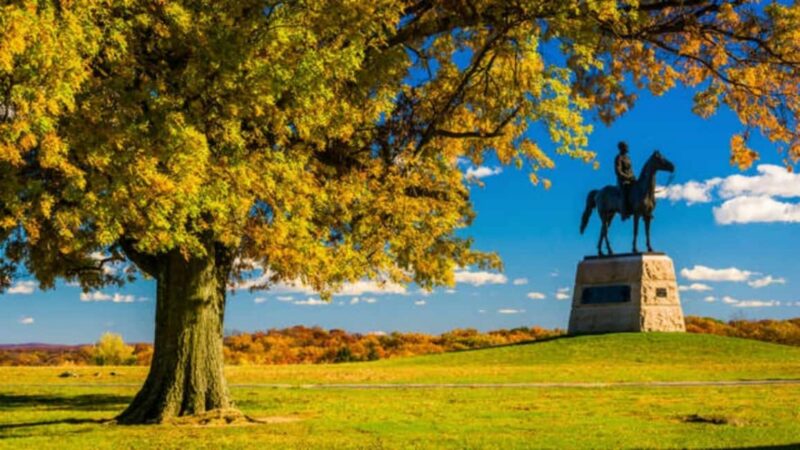 From DC: Gettysburg National Military Park Full-Day Trip - The Experience Through the Lens of Reviews