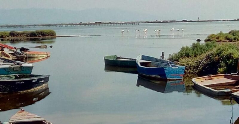 From Deltebre: Ebro Delta National Park Multi-Stop Day Trip -  