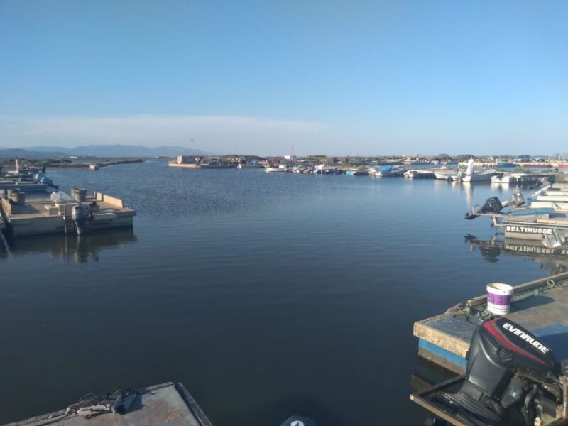 From Deltebre: Ebro Delta National Park Multi-Stop Day Trip - Mussel and Oyster Production at Illa de Mar Port
