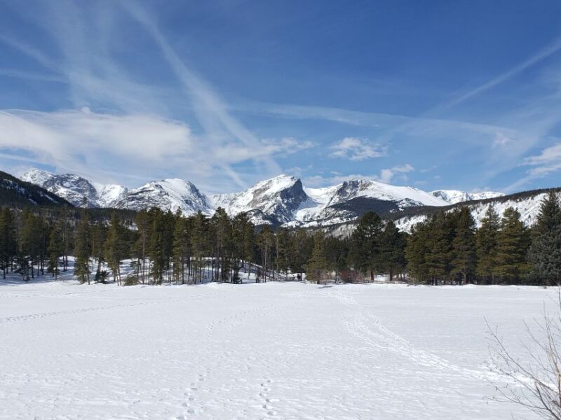 From Denver: Rocky Mountain National Park Winter/Spring Tour - Key Points