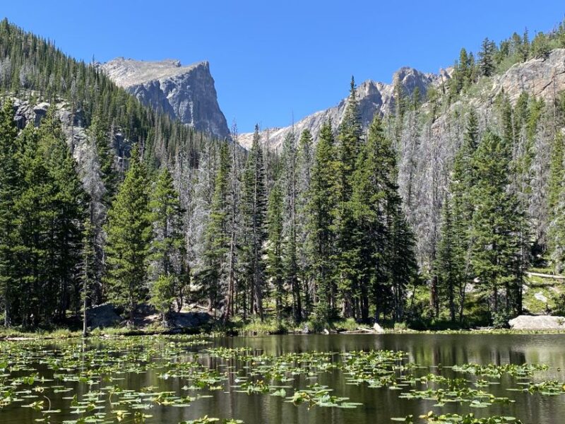 From Denver: Rocky Mountains Jeep Tour with Picnic Lunch - Supporting Wildlife Conservation