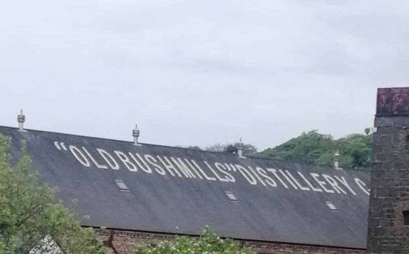 From Derry: Giants Causeway Luxury Day Trip - Final Thoughts on the Giants Causeway Luxury Day Trip