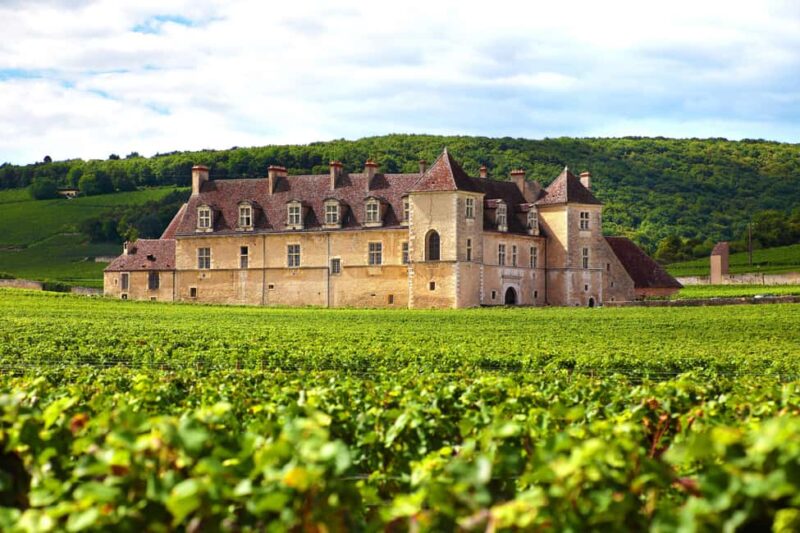 From Dijon: Côte de Nuits Wine-Tasting Tour - Explore Burgundy’s Iconic Pinot Noir in a Small Group from Dijon