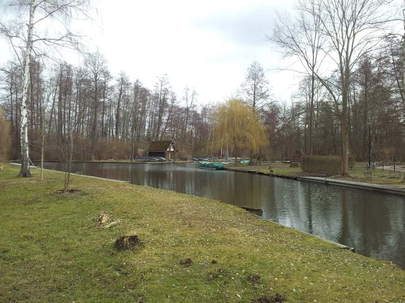 From Dresden: Day Trip to The Spreewald - Practical Details and Accessibility