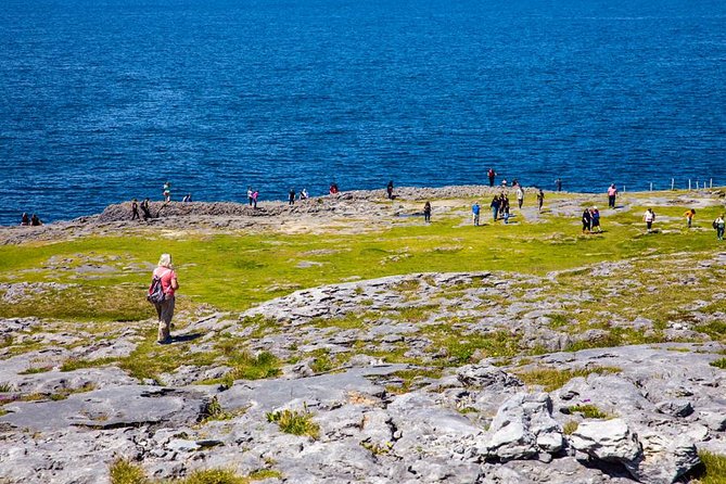From Dublin: Cliffs of Moher, Boat Tour & Aillwee Cave - Weather Considerations and Alternative Activities