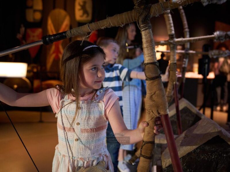 From Dublin: Game of Thrones Studio Tour with Coach Transfer - Themed Dining and Refreshments