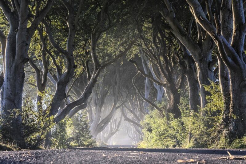 From Dublin: Giant's Causeway Tour and Whiskey Tasting - Guides: Knowledge, Humor, and Irish Stories