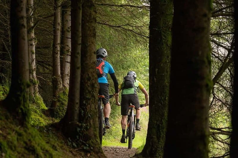 From Dublin: Mountain Bike Experience - Included Equipment and Safety Measures