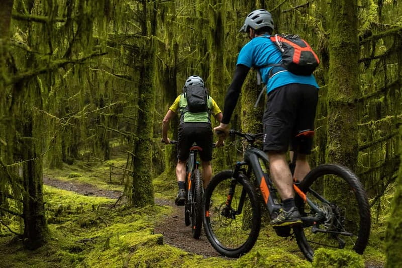 From Dublin: Mountain Bike Experience - Flexibility and Booking Options for the Bike Experience