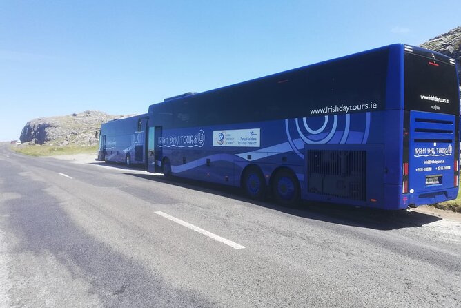 From Dublin: Wicklow, Glendalough, Waterfall & Sheepdog demo - Practical Details: Meeting Point and Group Size