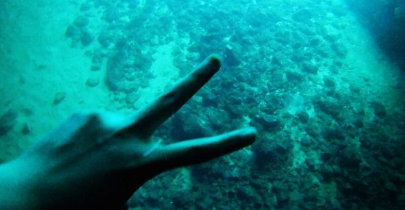 From Dubrovnik: Full-Day Private Boat Tour of Elafiti Island - Exploring Koloep Island and the Blue Cave