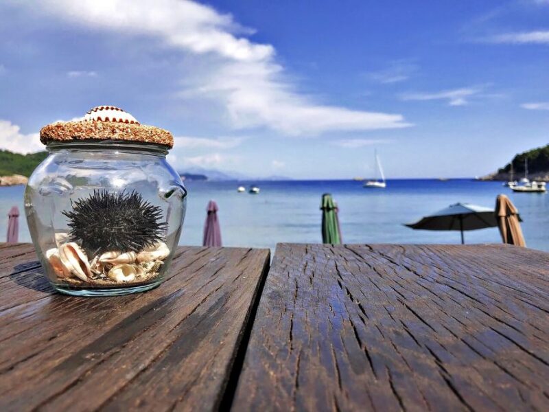 From Dubrovnik: Full-Day Private Boat Tour of Elafiti Island - Snorkeling and Water Activities in the Elafiti Islands