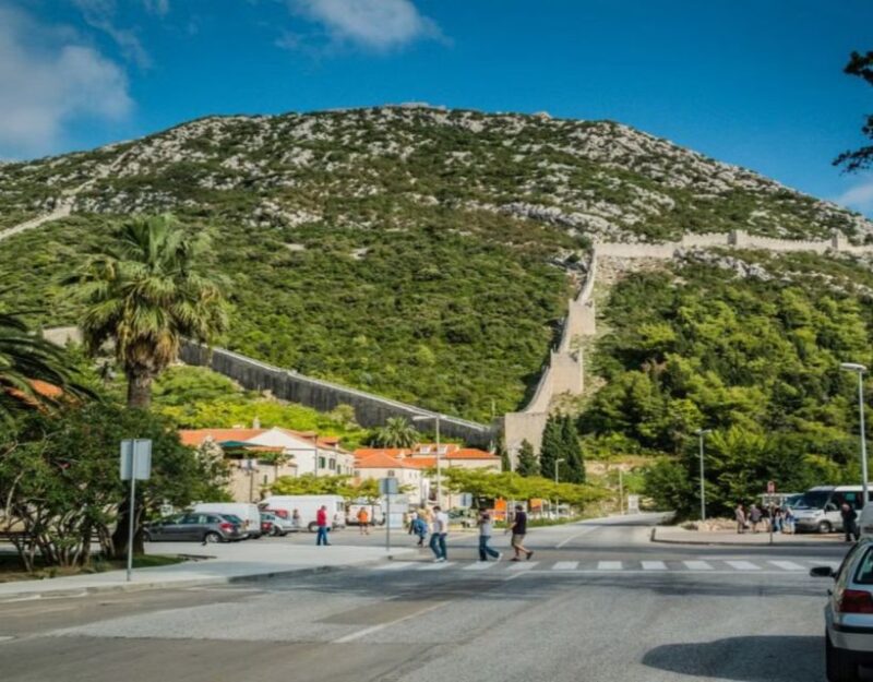 From Dubrovnik: Full-Day Tour to Ston & Oyster Tasting - Key Points