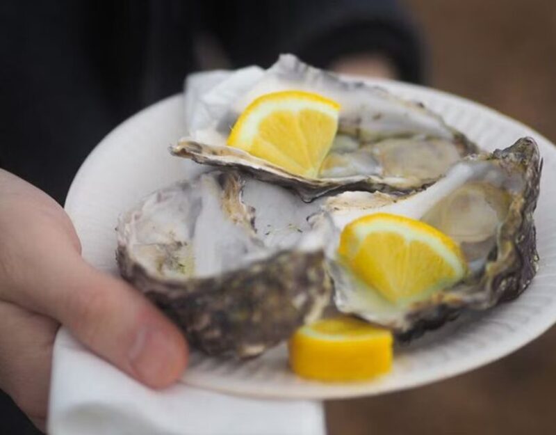 From Dubrovnik: Full-Day Tour to Ston & Oyster Tasting - Visiting the Ancient Saltworks of Ston