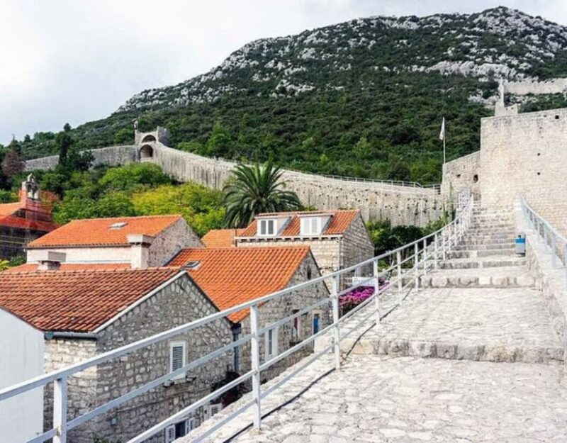 From Dubrovnik: Full-Day Tour to Ston & Oyster Tasting - Comfortable Transportation and Convenient Logistics