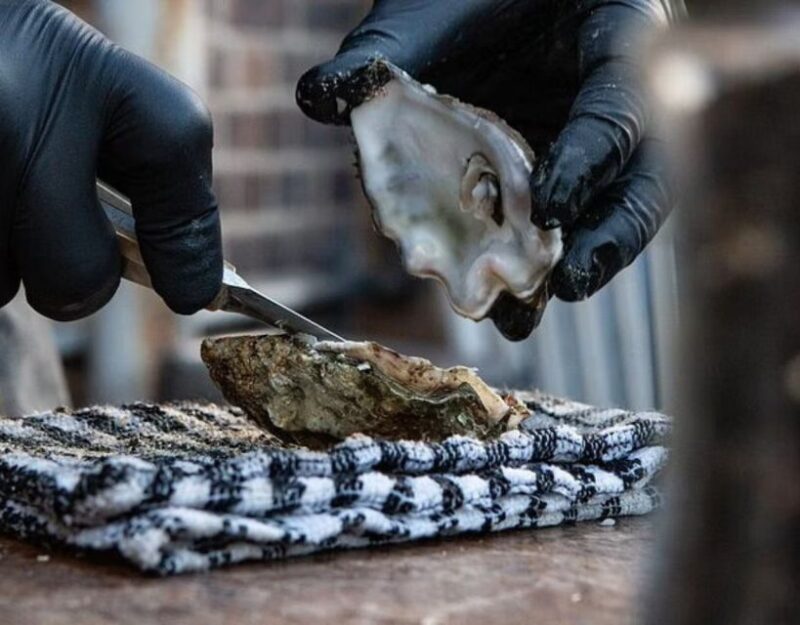 From Dubrovnik: Full-Day Tour to Ston & Oyster Tasting - Who Will Appreciate This Tour the Most