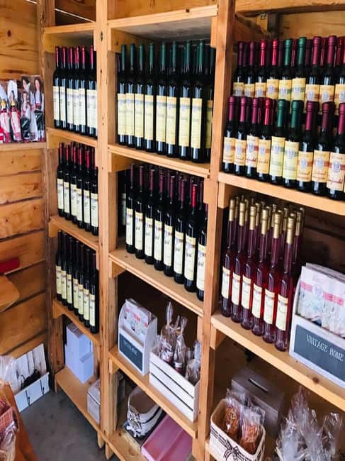 From Dubrovnik: Half-Day Wine Tasting and Cavtat City Tour - From Dubrovnik to the Konavle Valley Wine Cellar