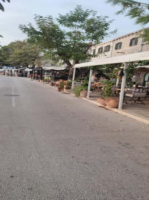 From Dubrovnik: Half-Day Wine Tasting and Cavtat City Tour - Logistics and Group Experience