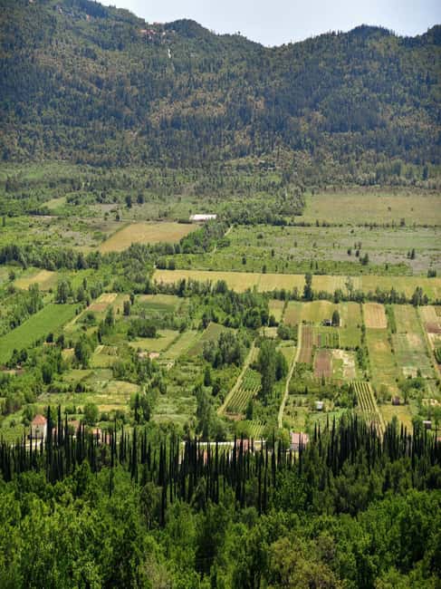 From Dubrovnik: Half-Day Wine Tasting and Cavtat City Tour - The Quality and Variety of Wines