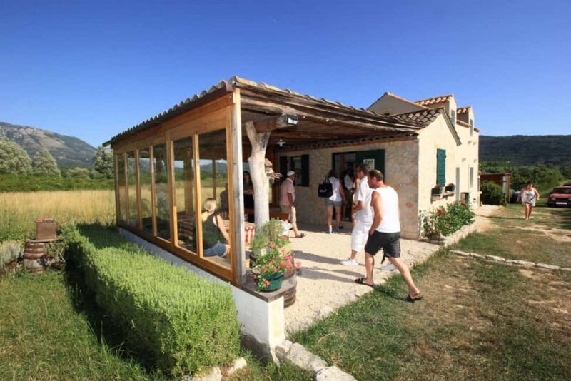 From Dubrovnik Konavle wine tasting tour and Cavtat - Exploring Cavtat’s Coastal Charm