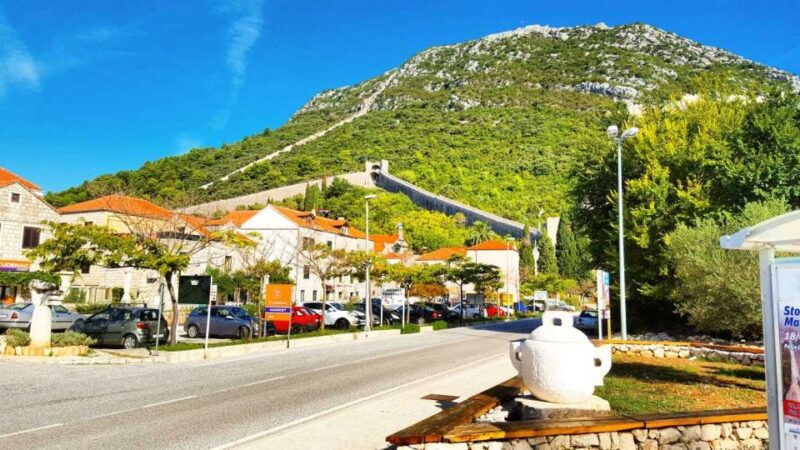 From Dubrovnik: Majkovi Village and Ston Private Food Tour - Who Will Appreciate This Tour the Most?