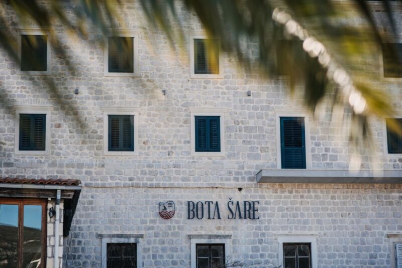 From Dubrovnik: Mali Ston Oyster Paradise Tour with Transfer - Who Will Enjoy This Tour Most?