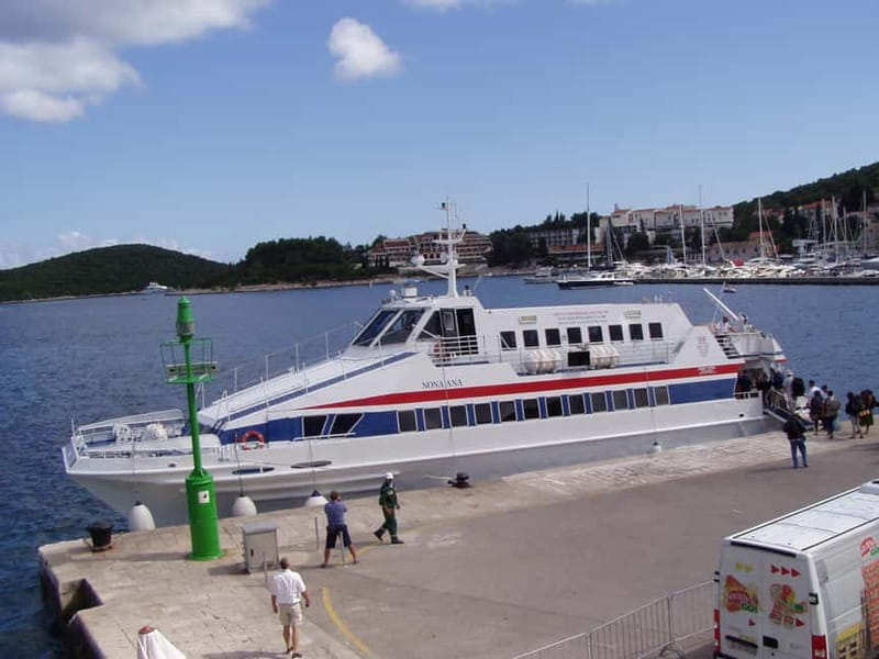 From Dubrovnik: Mljet Island Guided Catamaran Day Tour - Key Points