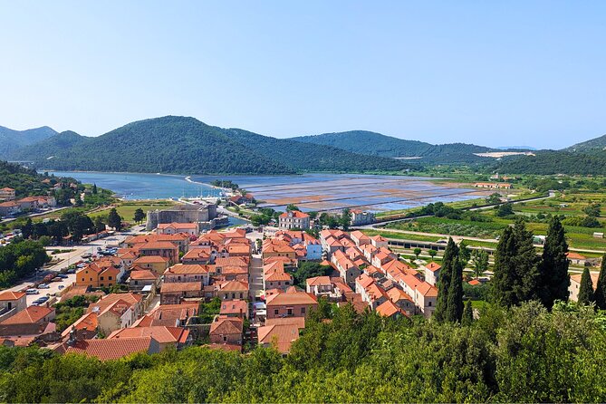 From Dubrovnik: Peljesac Wine Tasting Private Tour - The Guide: Knowledgeable and Friendly