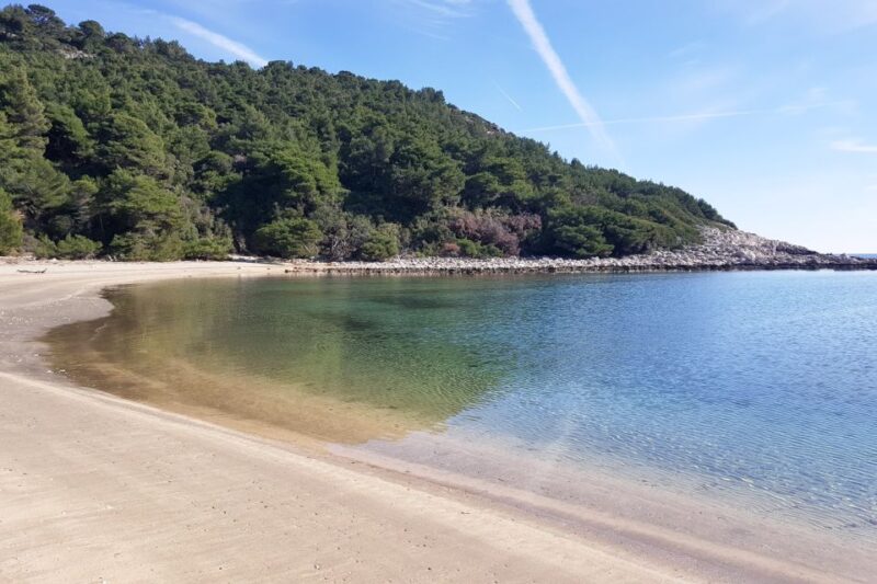 From Dubrovnik: Pvt Speedboat Cruise to Mljet&Sipanska Luka - Uninhabited Islands Jakljan and Olipa: Nature’s Private Retreats