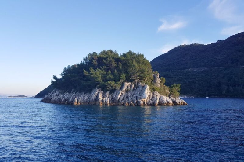 From Dubrovnik: Pvt Speedboat Cruise to Mljet&Sipanska Luka - Practical Information: What to Bring and What to Expect