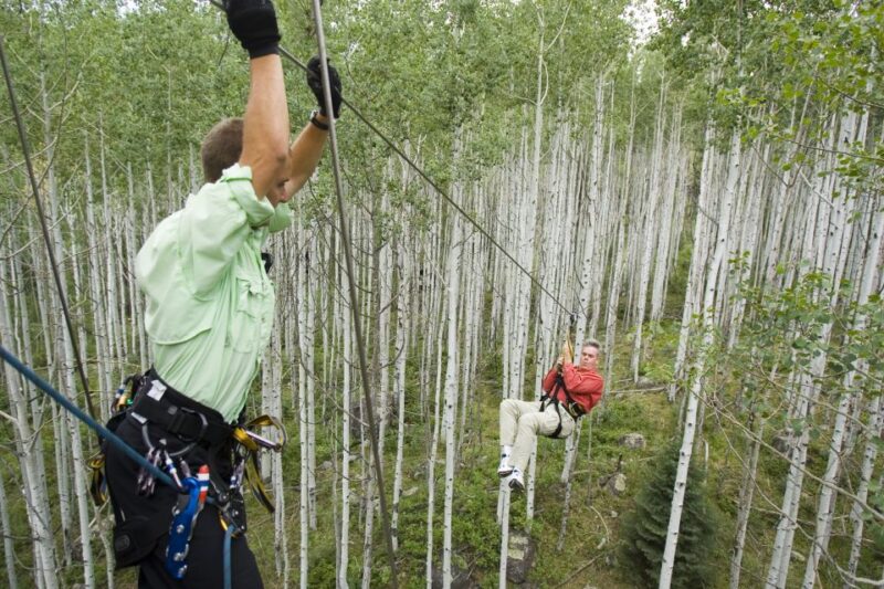 From Durango: All-Day Zipline Adventure with Train & Lunch - Timing, Pacing, and Overall Experience